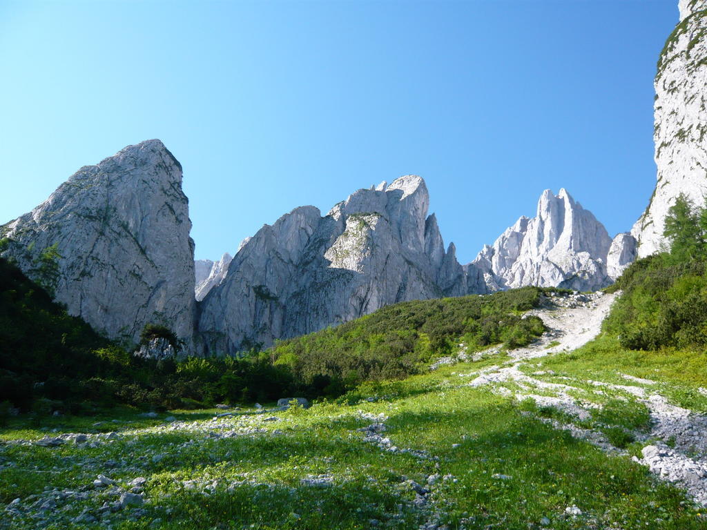 Gaestehaus Sieglinde Gosau Esterno foto